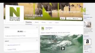 Viasat Nature Scandinavia - Viasat Natures Most Endangered