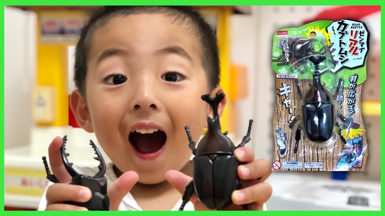 100均 動くリアルカブトムシのおもちゃに大興奮 夏休みはお家でも昆虫と遊ぼう Kohatai Play Real Moving Beetle Insect Toy Youtube