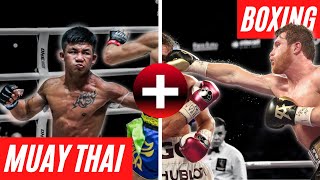 Learning Boxing & Muay Thai Together | Good Or Bad?