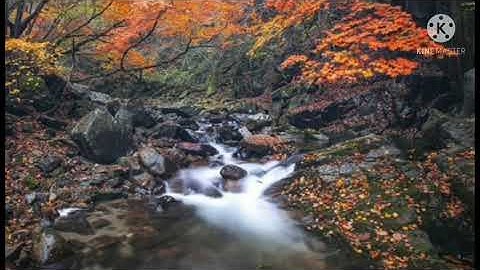 فضيلة الشيخ أحمد بن علي العجمي سورة الإخلاص مكررة