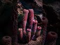 What Scientists Found Deep Underground