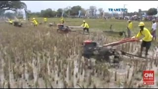 Puluhan Petani Ikuti Lomba Traktor di Sawah