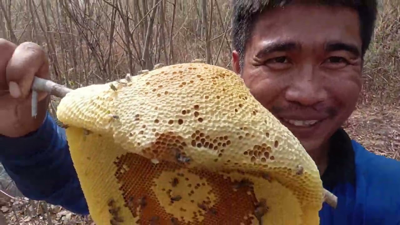 กำลังหาผึ้งมิ้ม อยู่ๆฝนตกเฉย