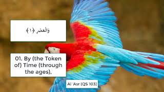 Humans Dont Lose In Life Qs 103 Al Asr In English