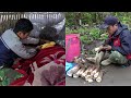 journey to find bamboo shoots to sell to take care of his sick wife | hard life
