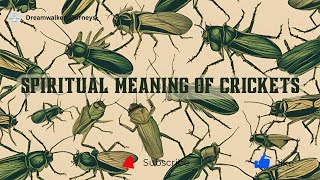 Spiritual Meaning Of Crickets Cricket Spiritual Meaning