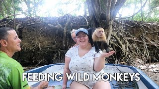 Costa Rica mangrove tour- feeding capuchin monkey's // single mom vlog