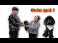 Dương KC | Tặng Chó Poodle Cho Bà Tân Vlog