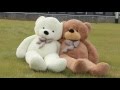 Joyfay 78 giant teddy bear