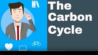 Explain the Carbon Cycle