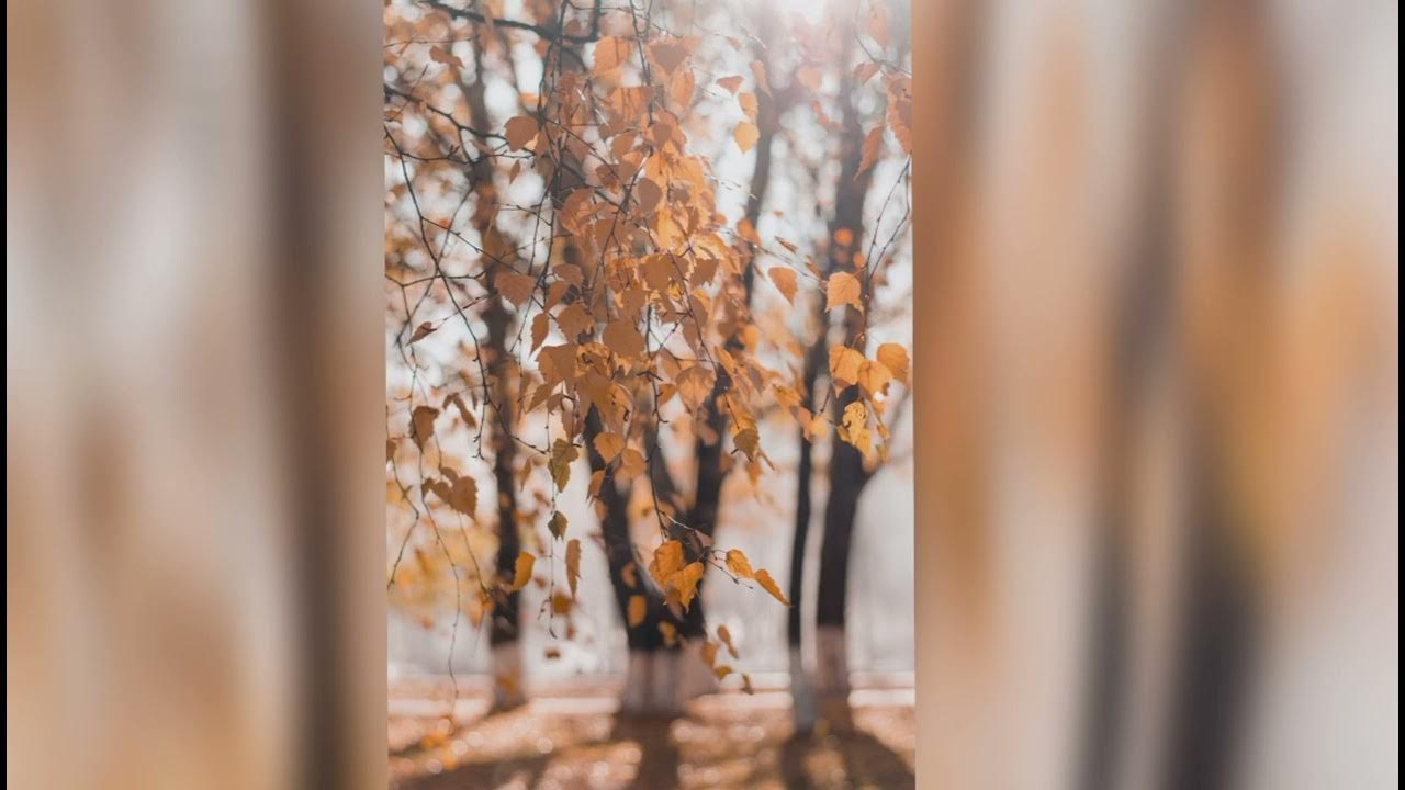 sleeping-music-for-deep-sleeping-music-meditation-calm-youtube