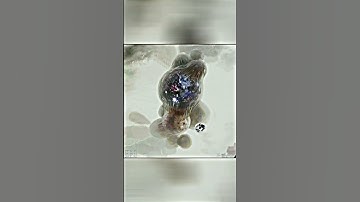 yog sothoth animation #shorts