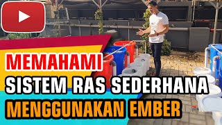 SISTEM RAS SEDERHANA - Cara Kerja RAS Ikan Nila Budikdamber