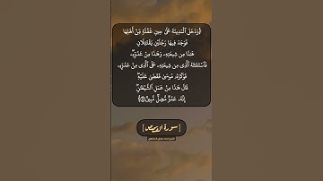 سورة القصص الآية ١٤ و ١٥ بصوت الشيخ محمد صديق المنشاوي