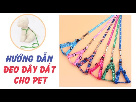 Video: Cách Đeo Vòng Cổ Yếm: 9 Bước (Có Hình)