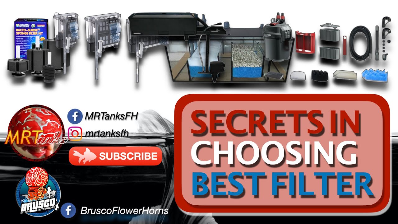 SECRETS in choosing THE BEST FILTER: BASIC BEGINNERS GUIDE - YouTube