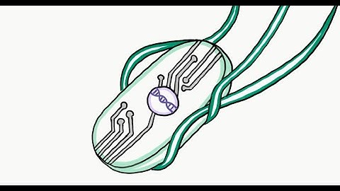 UBC iGEM Synbio Video Series: Introduction to Synthetic Biology