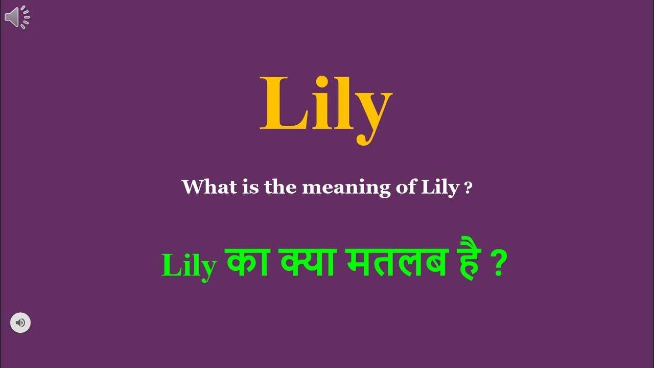 lily-meaning-in-hindi-lily-ka-kya-matlab-hota-hai-daily-use-english