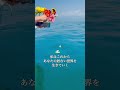 愛する人を自然に還す　大分で海洋散骨