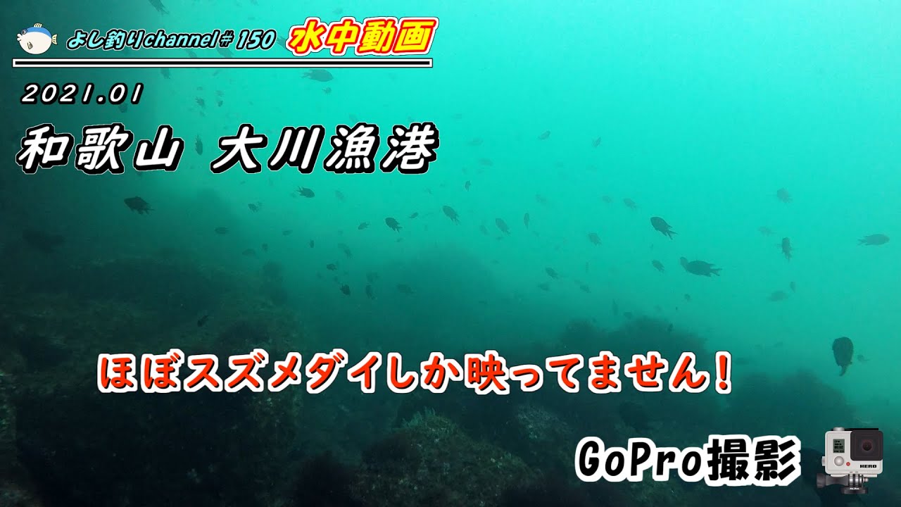 150 和歌山 大川漁港 釣り場の水中映像 Gopro撮影 Youtube