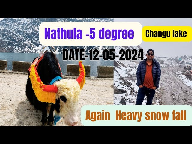 Again Heavy snowfall ||Nathula ||indo chain Border || changu lake || Baba mandir || Date-12-05-2024 class=