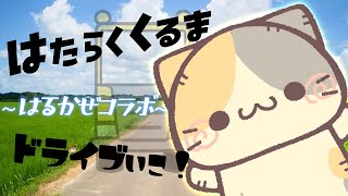 【🚚突発】はるかぜコラボ！助手席どうぞ！【コメント大歓迎】【ユーロトラックシミュレーター2/eurotrucksimulator2 vtuber むぅたま】