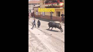 👏🏼👏🏼BAJADA DE UN ENORME TORO POR LAS CALLES DE ANCHUELO🔥(Madrid)