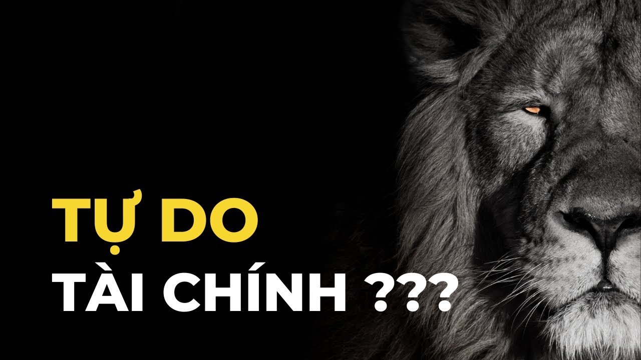 Outline Video Hiểu đúng về TỰ DO TÀI CHÍNH