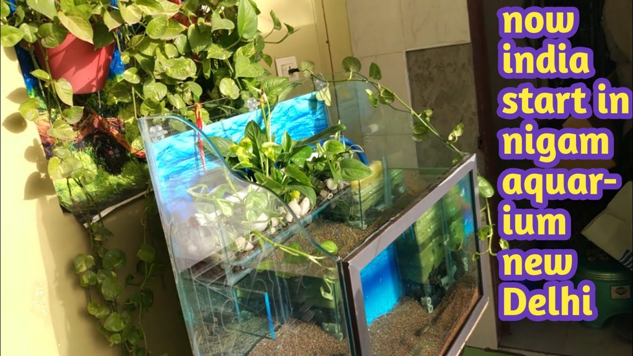 Aquaponics store brisbane See inside a luxurious beachfront house with its own helipad on South Australia's York Peninsula