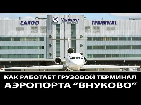 Как работает грузовой терминал аэропорта "Внуково" / Гигантские погрузчики / Чем загружают самолеты.