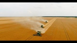 Moisson 2016 avec 3 moissonneuse John Deere - Harvest 2016 with 3 combine John Deere