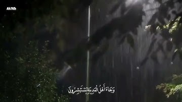 فَلَمَّا جَاءَ آلَ لُوطٍ المُرسَلُون - القارئ أحمد خضر 🌱💚