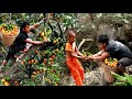 Survival in the rainforest - Man found oranges with  fishs & cooking - Eating delicious