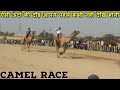 Camel Race 2020 / ऊंटों ने लगाई ऐसी दौड़े की सबकी धड़कने रुक गई/ Camel Festival 2020 Bikaner