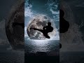 Striking Art: Capturing MMA &amp; Taekwondo Under the Moon #mma #taekwondo