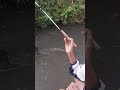 spot micro fishing di Malang, Sungai kecil pasti ono Uceng e Bolo #mancingceria #mancingmalang