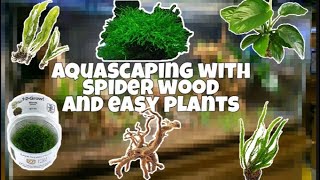 Wild Jungle Aquarium  Aquascaping For Beginners  Spider Wood And Easy To Grow Aquarium Plants