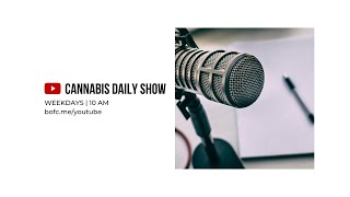 Cannabis Daily | Cannabis news and insights for January 12, 2022
