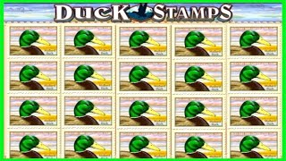 ★★JACKPOT HANDPAY★★$500 BETS★★DUCK STAMPS HIGH LIMIT SLOT MACHINE BUENO DINERO MUSEUM SLOTS IGT