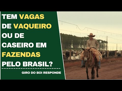 TEM VAGAS DE VAQUEIRO OU DE CASEIRO EM FAZENDAS PELO BRASIL?