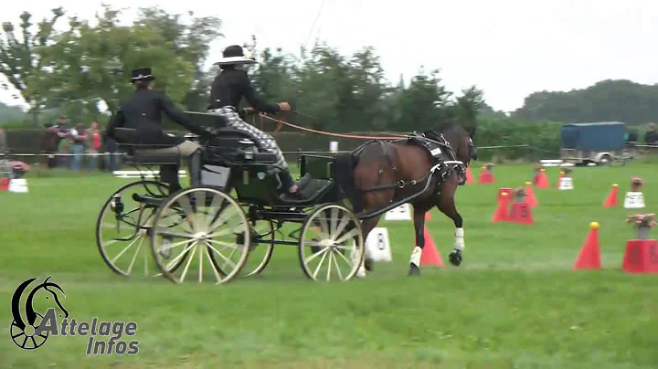 Sandra SCHAFER Ger   CAI HEIJENRATH 2014
