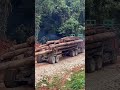 Logging truck siap lepas landas ke pangkalan#heavyequipment#workers#logs