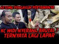 KING COBRA WIDI MARAH SAMA OM HERI ! GAK JINAK LAGI. NYERANG BERKALI-KALI SAAT MAU DIKASIH MAKAN