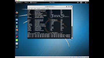 DDoS Prevention and Investigation using Scapy and a Honeypot