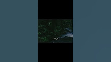 #سورة_البقرة #محمد_اللحيدان #قرآن_كريم #قرآن #راحة_نفسية #تلاوة_خاشعة #اكسبلور