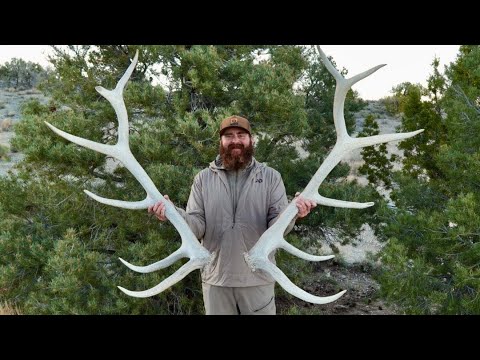 LOADING UP ON ELK SHEDS (400+ MONSTER)