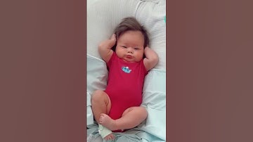 That smile at the end…….#theollieworld #shorts #ytshorts