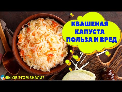 Квашеная капуста - польза и кому нельзя