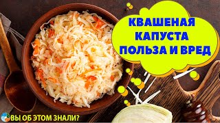 Квашеная капуста - польза и кому нельзя