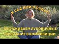 В сад или в салат? Высаживаем луковичные. Сочетание луковичных в композиции